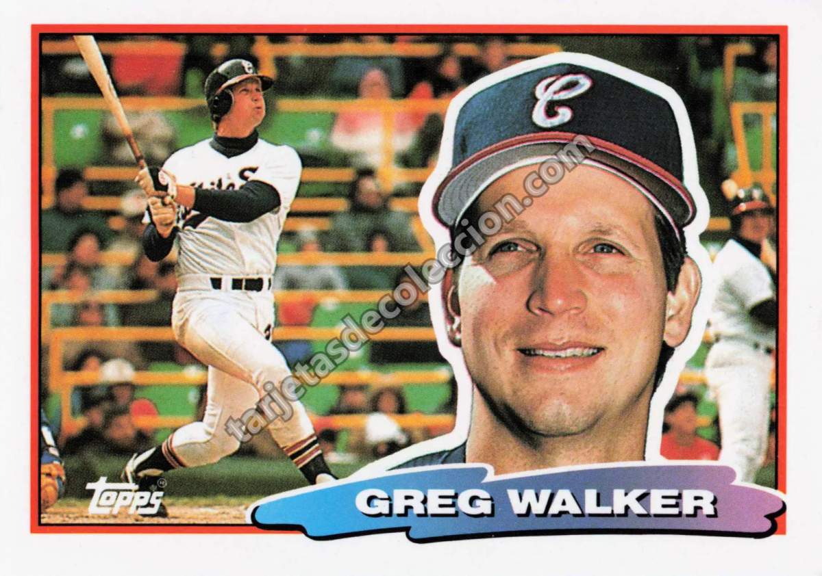 1988 Topps Greg Walker #105 (Chicago White Sox)
