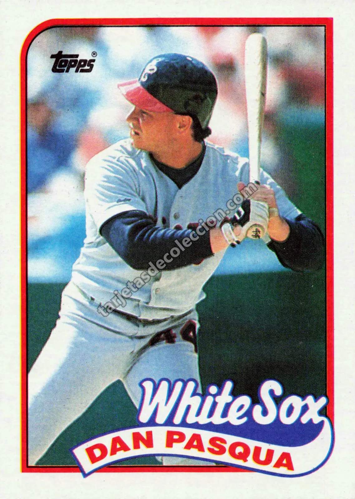 1989 Topps Dan Pasqua #558