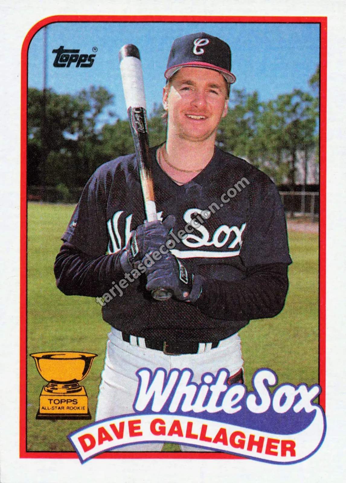 1989 Topps Dave Gallagher #156 (Chicago White Sox)