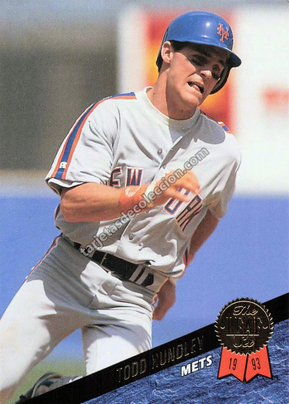 1993 Leaf Series 1 Todd Hundley #75 (New York Mets)