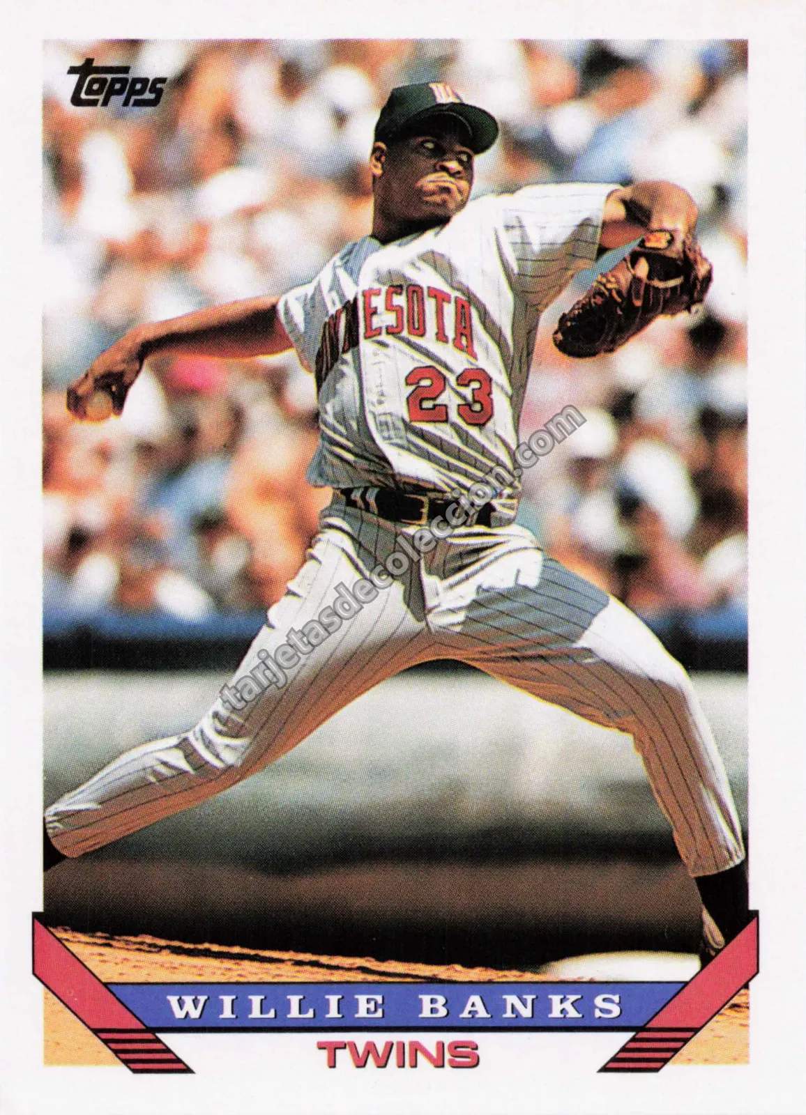 1993 Topps Willie Banks #226 (Minnesota Twins)