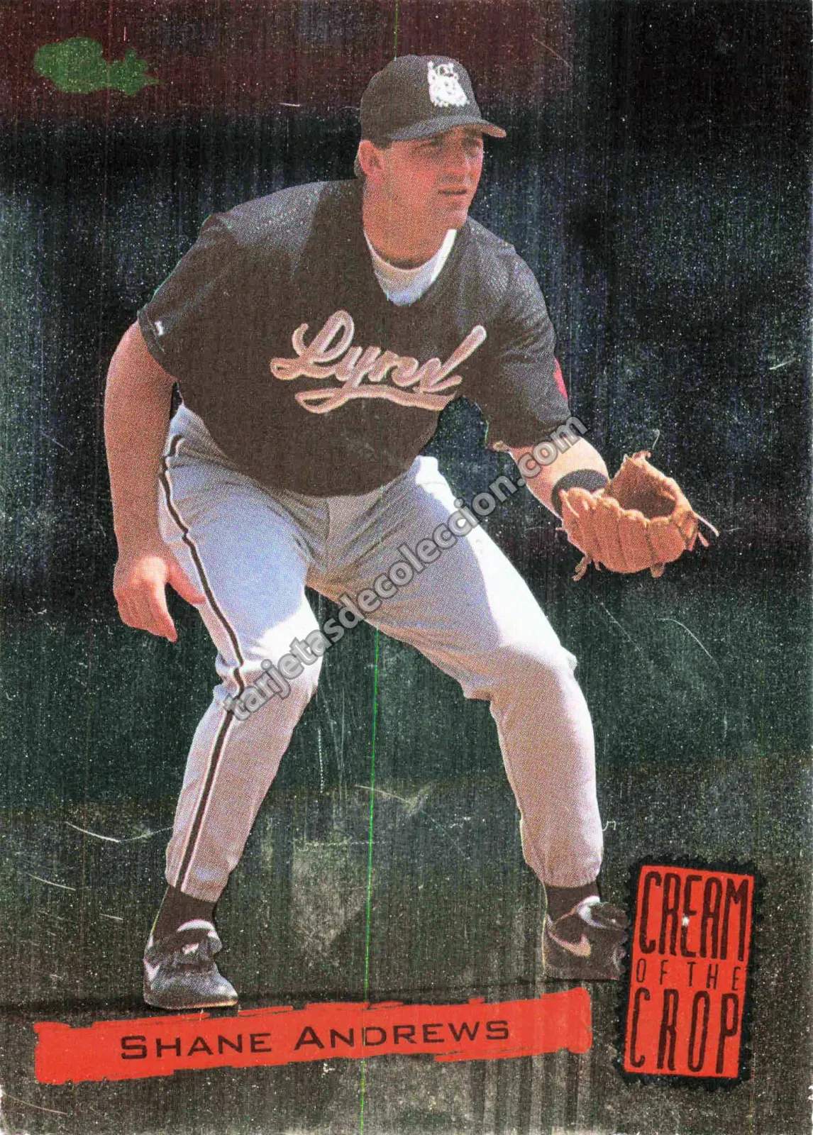 1994 Classic Cream of the Crop Shane Andrews #C15