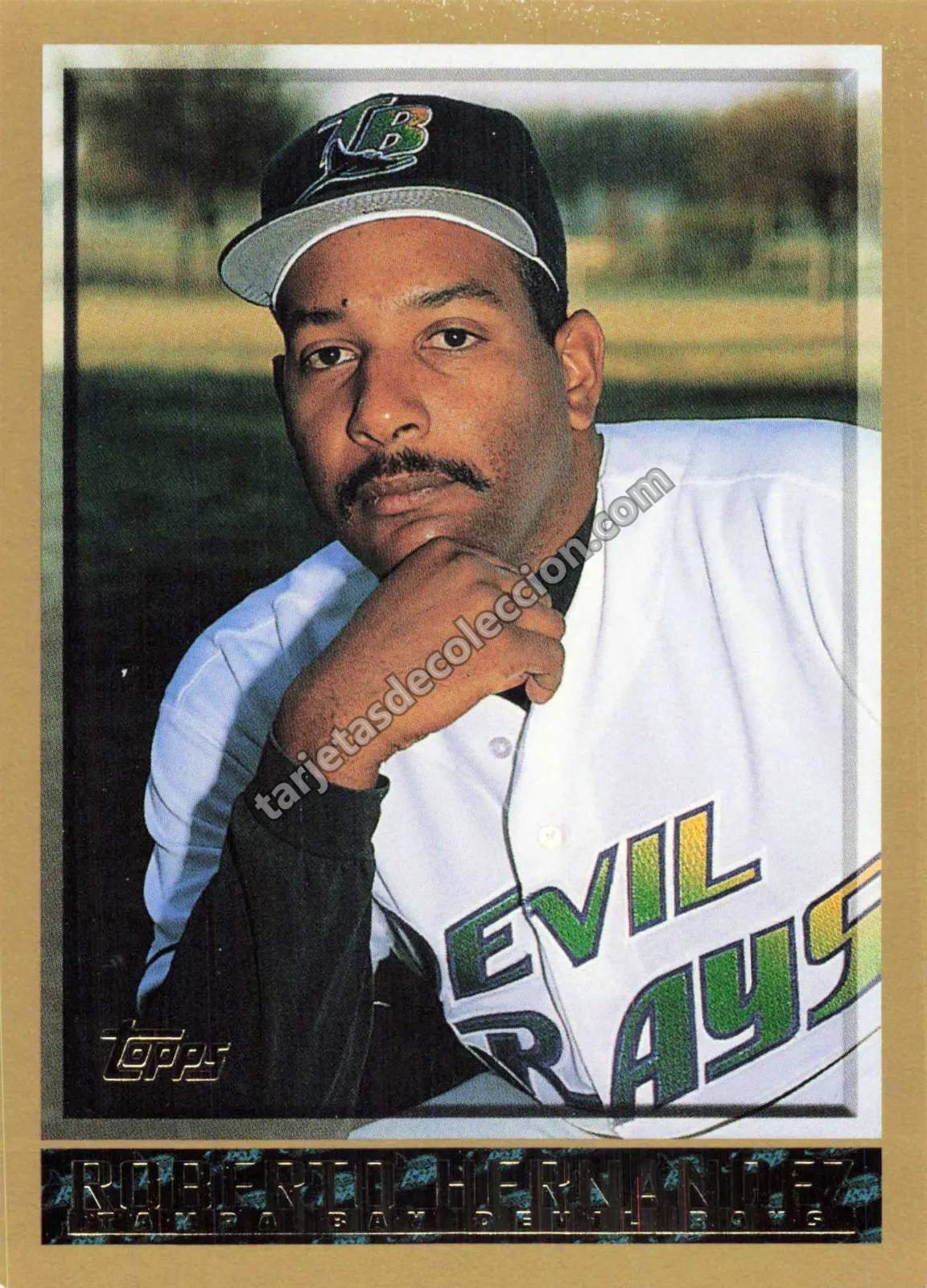 1998 Topps Roberto Hernandez #430