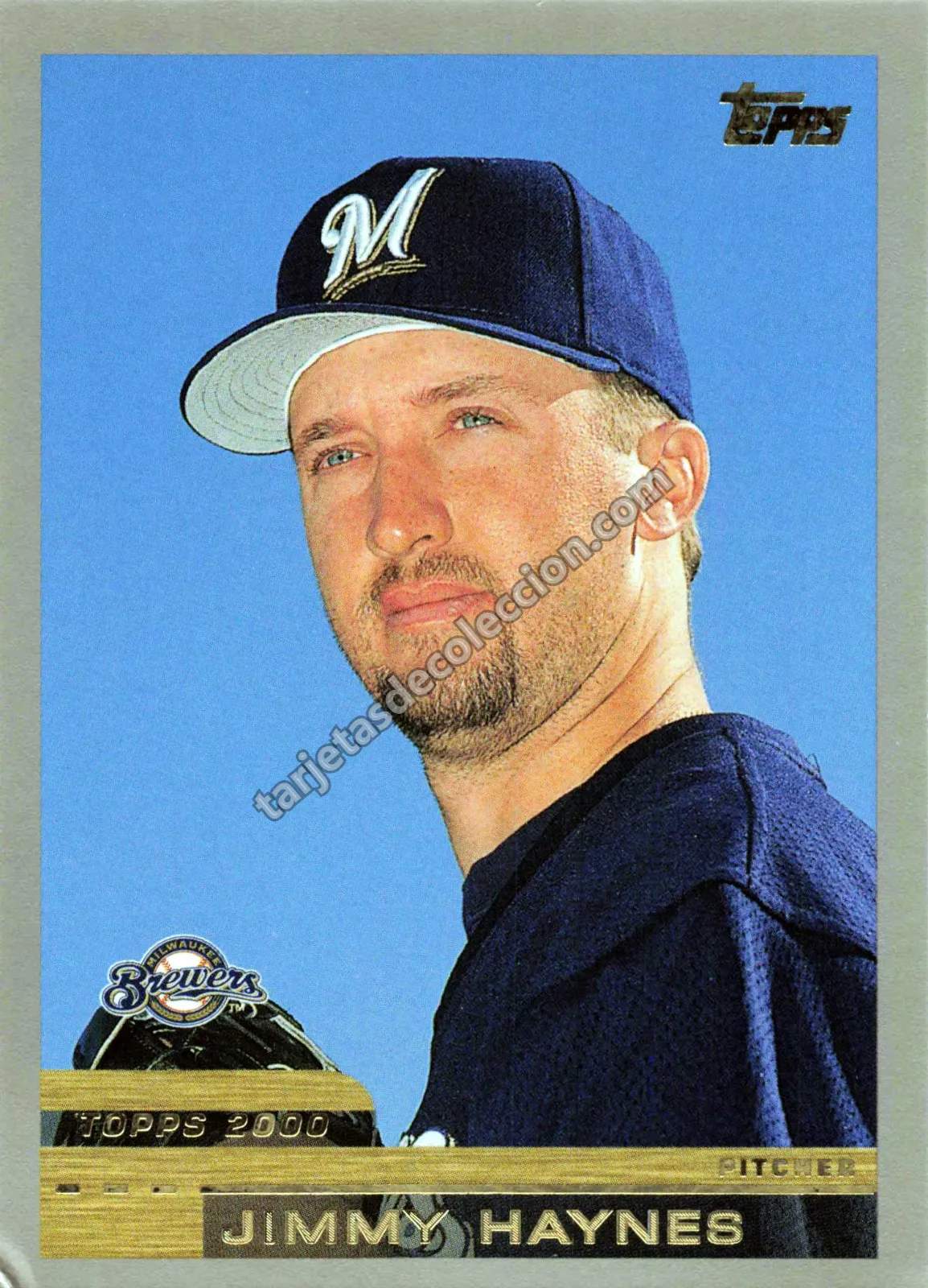 2000 Topps Jimmy Haynes #376 (Milwaukee Brewers)