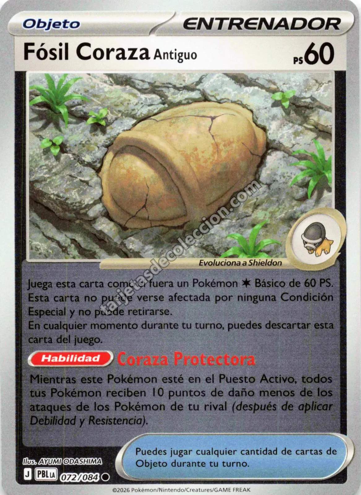 Fósil Coraza Antiguo 072/084