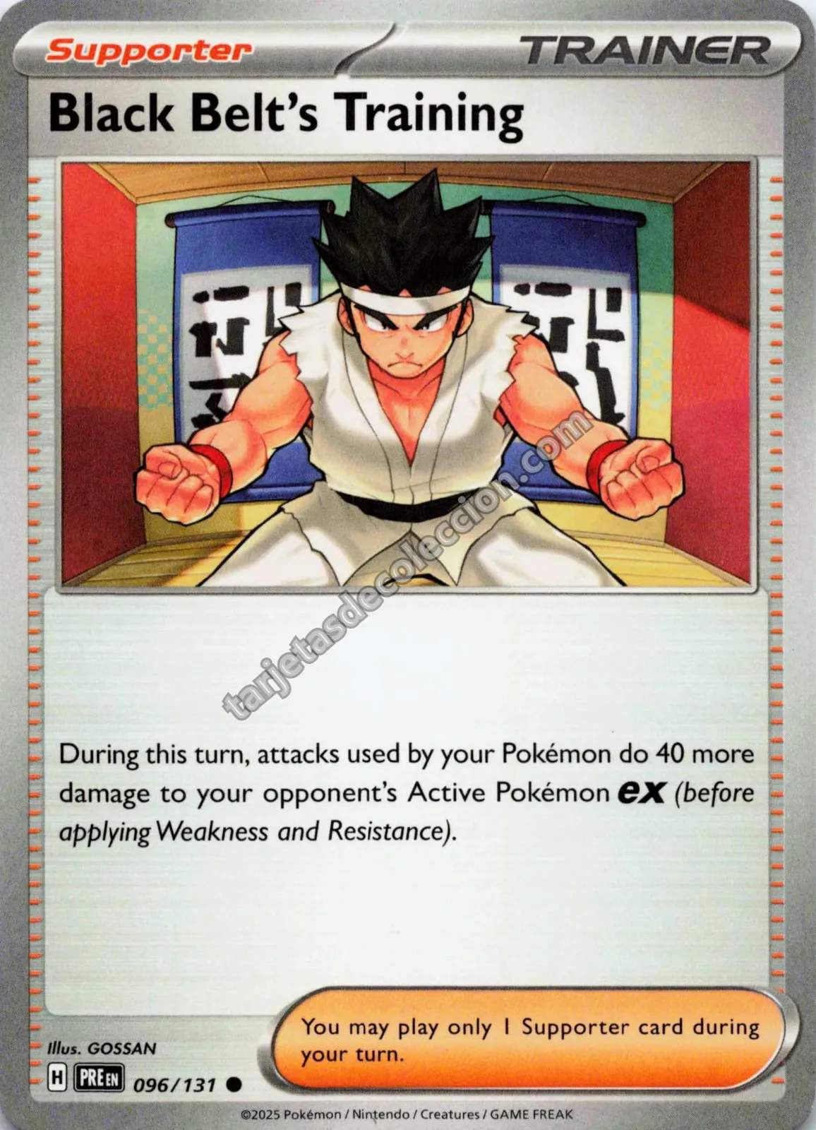 Lote de 20 Cartas Pokémon TCG Variadas