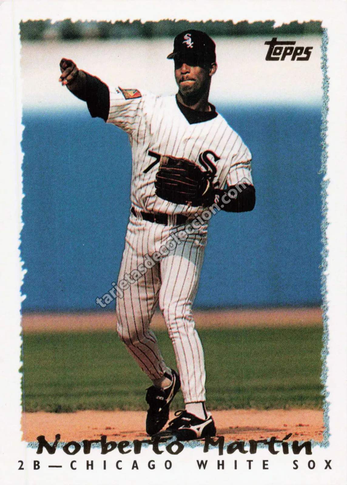 Norberto Martin - Topps 1995 #258