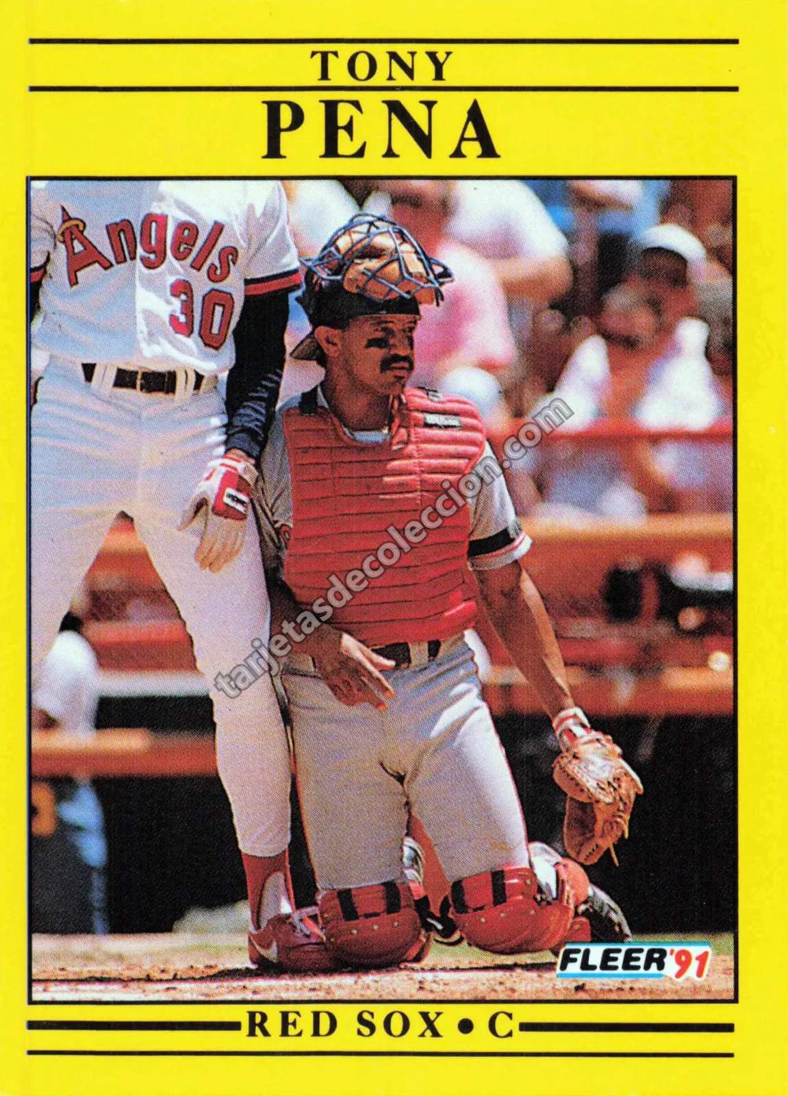 Tony Pena - Fleer 1991 #106