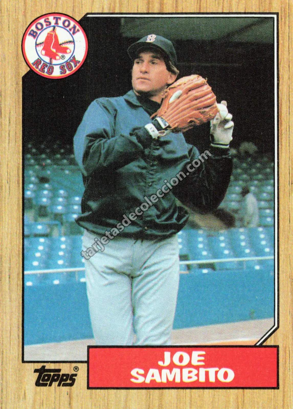 1987 Topps Joe Sambito #451 (Boston Red Sox)