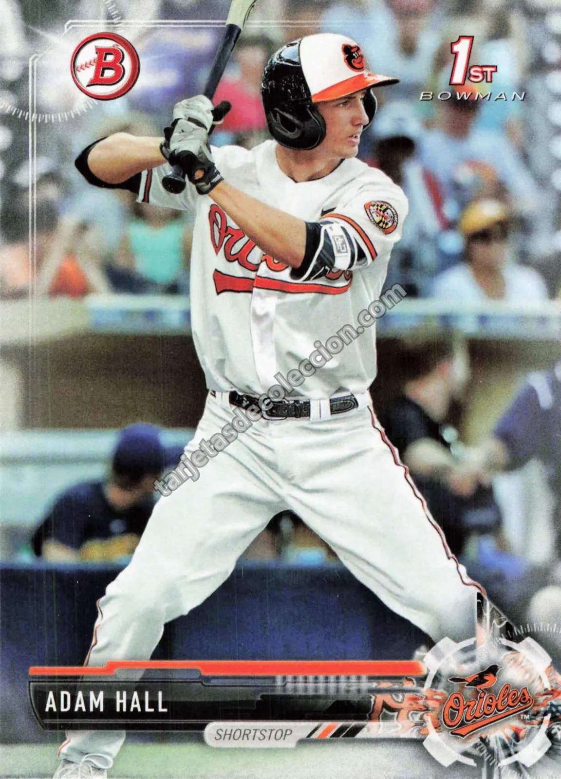 2017 Bowman Adam Hall #BD-55 (Baltimore Orioles)